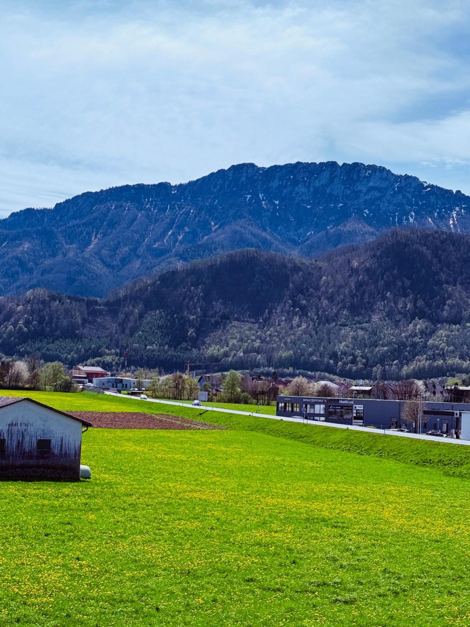 Zentrale Wohnung Mit Alpenblick Micheldorf in Oberösterreich Buitenkant foto